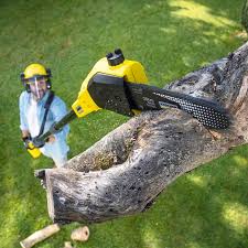 Best Lawn Pest Prevention  in Fort Mitchell, KY